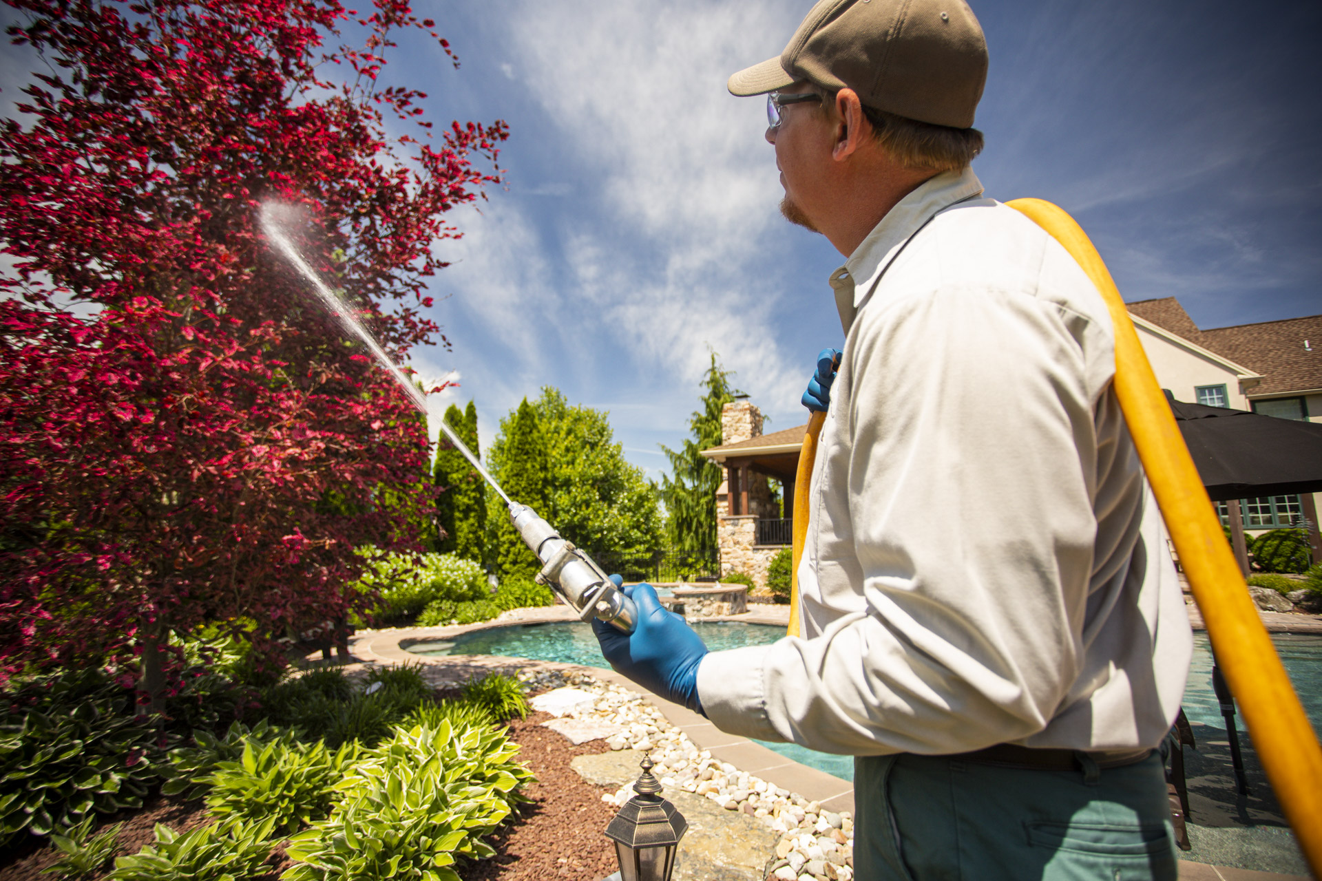 Tree Insect Disease Control Services Joshua Tree Experts 9112